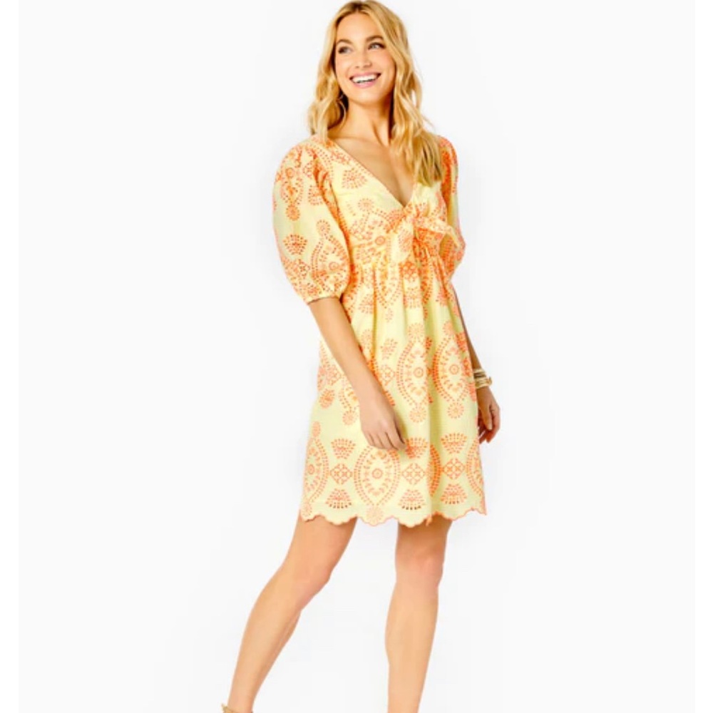 NWT - Size 6 - Sarafina Short Sleeve Dress